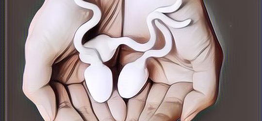Apakah Pria Juga Punya Masa Subur Seperti Wanita?