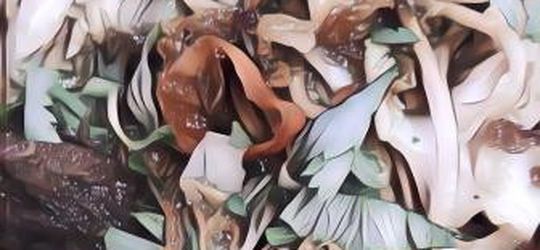 Tips Mudah Membuat Bakmi Jawa Sederhana yang Menggugah Selera