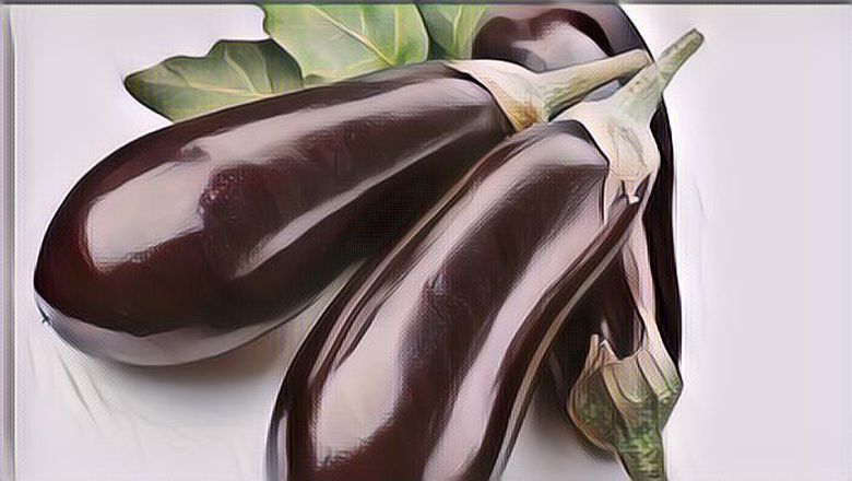 Waduh Ngeri! Polusi Ternyata Bisa Bikin Ukuran Penis Mengecil dan Kerusakan Sistem Reproduksi