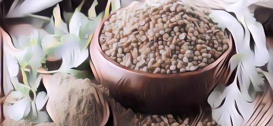 Manfaat Ketumbar untuk Kesehatan dan Mereka yang Nggak Boleh Mengonsumsinya, Catat Kuy