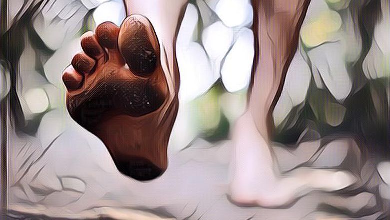 Menelanjangi Kaki Saat Berjalan, Ternyata Memiliki Beragam Manfaat Lho Gengs, Tak Percaya?