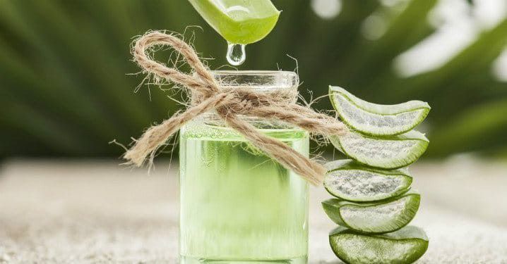 5. Getah daun lidah buaya