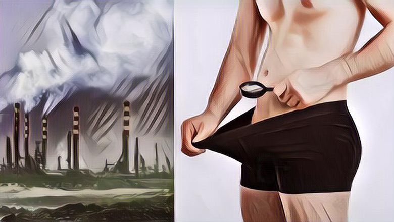 Jakarta Bolak Balik Jadi Kota Terpolusi di Dunia, Benarkah Bisa Ngaruh ke Ukuran Penis Warga Laki-Lakinya?