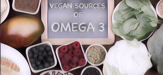 Buat yang Vegan, Berikut 7 Makanan Sumber Omega 3 dari Tumbuhan