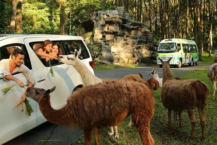 1. Taman Safari indonesia 2