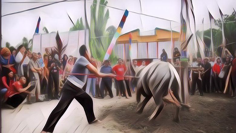 Ritual Tiwah untuk Mengantarkan Arwah, Bisa Habisin Uang Hingga 100 Juta