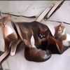 Penyebab Kucing Liar Sering Datang ke Rumah, Ada yang Bawa Pesan Khusus Bagi Penghuni