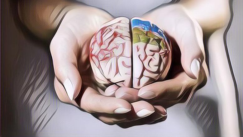 Fakta atau Mitos: Semakin Besar Otak Manusia, Semakin Pintar Dia?