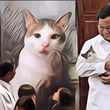 Netizen Terkejut Saat Lihat Kamar Kucing Peliharaan Prabowo: Lebih Bagus dari Kamar Gue