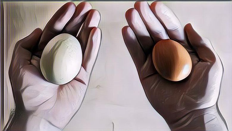 Bisa Jadi Menu Andalan MPASI, Berikut Perbandingan Nutrisi Telur Ayam dan Telur Bebek