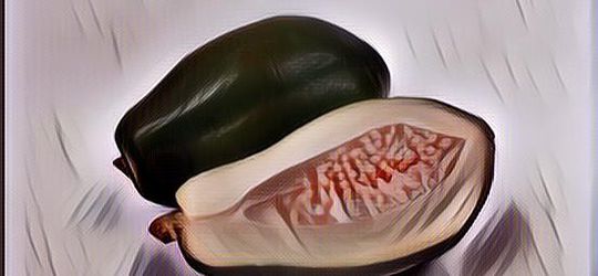 Manfaat Pepaya Muda Buat Di Konsumsi, Aman dan Berkhasiat Lagi