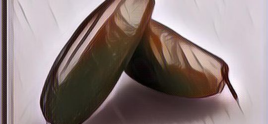 Manfaat Belimbing Wuluh Untuk Wajah, Solusi Jitu Yang Irit!