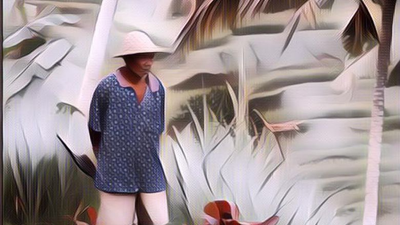 Data BPS Sebut Keluarga Miskin Di Indonesia Mayoritas Petani