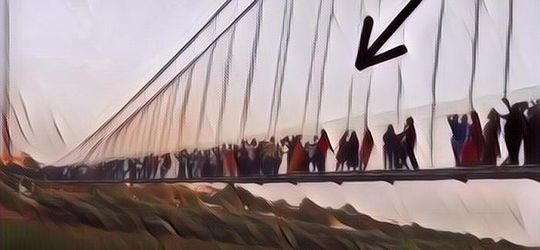 Tragedi Bertubi-Tubi! Kini Giliran Jembatan di India Ambruk dan Sebabkan 132 Orang Tewas