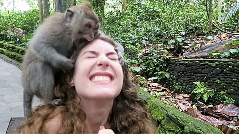 Saat sedang mengumpulkan Kayu Almarhum diserang