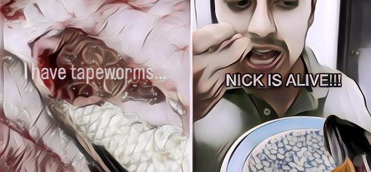 TikToker Ini Nekat Makan Ikan Mengandung Cacing Pita Demi Viral, Gini Efek Yang Dirasakannya