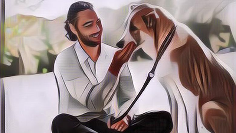 Sebuah Penelitian Mengungkapkan Kalau Hewan Peliharaan Bisa Terserang Covid-19, Begini Penjelasannya