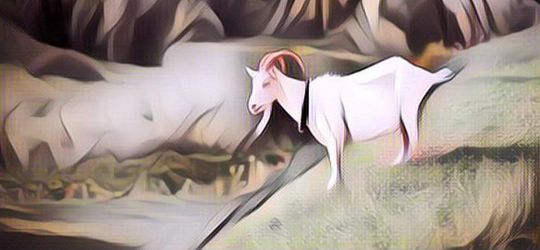 Viral Seorang Pria di Gresik Menikah dengan Domba, Begini Faktanya