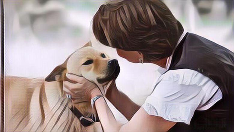 Mau Adopsi Anjing? Pertimbangkan Dulu 5 Hal Ini Sebelum Melakukannya!