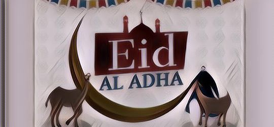 Jadwal dan Niat Puasa di Bulan Dzulhijjah Jelang Idul Adha