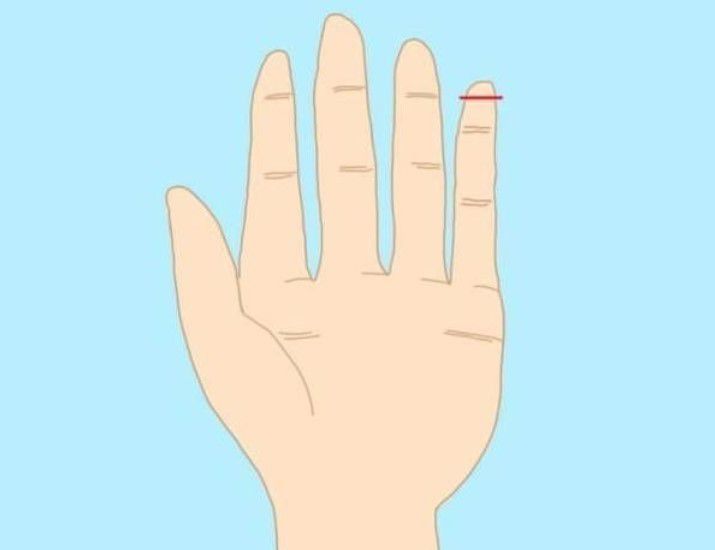 3. Jari kelingking di atas garis ruas jari manis