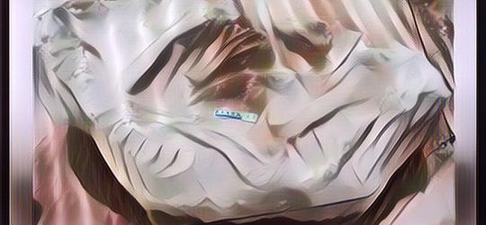 Kisah Menyedihkan Dibalik Terungkapnya Makam Kuno Hewan Berusia 9 Juta Tahun