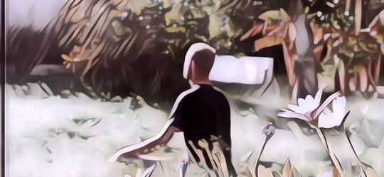 Shinrin-Yoku, Tradisi Berjemur di Hutan dari Jepang, Ini Manfaatnya!