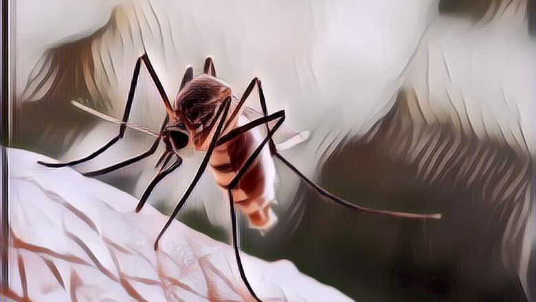 Kenali Segera! Ini Tanda-Tanda Habis Digigit Serangga, Ternyata Berbeda-Beda