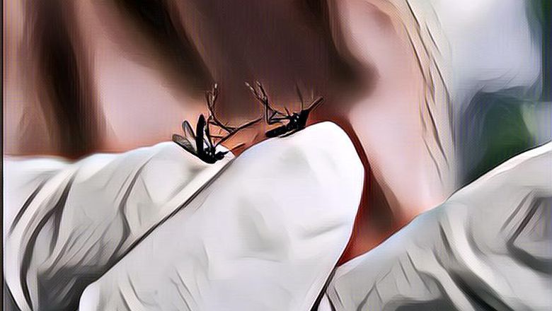 Sudah Masuk Musim Hujan, Waspada DBD! Mari Belajar dari Singapura yang Tebar Nyamuk Mandul untuk Atasi Wabah DBD