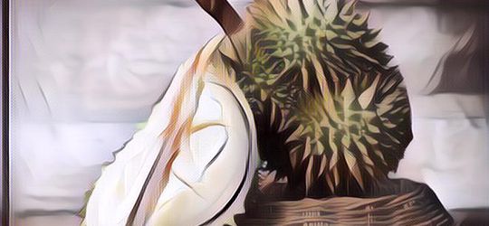 Waduh, Kondektur Ini Tiba-Tiba Pingsan Usai Ada Penumpang Bawa Durian