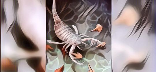 Ini Hasil Penemuan Fosil Kalajengking Besar Berusia 435 Juta Tahun