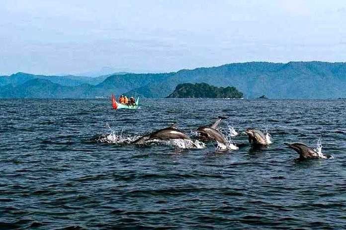 1. Teluk Kiluan, Lampung