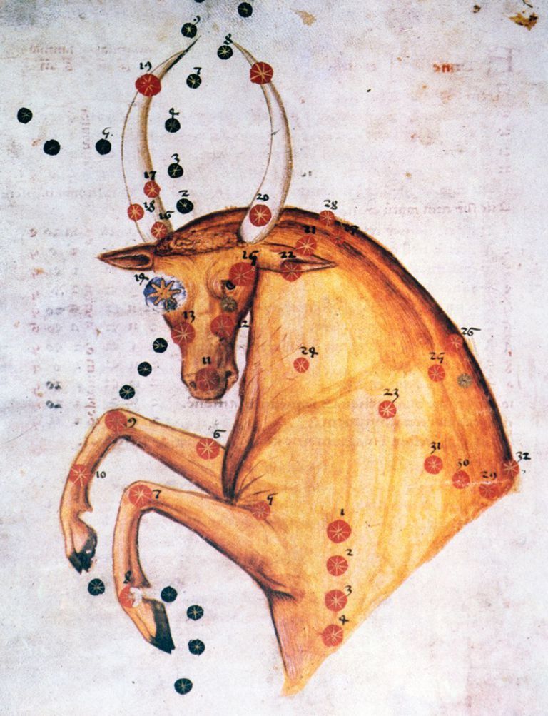 Taurus