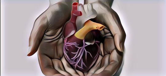 Mencetak Jantung Manusia dengan Teknologi 3D Printing