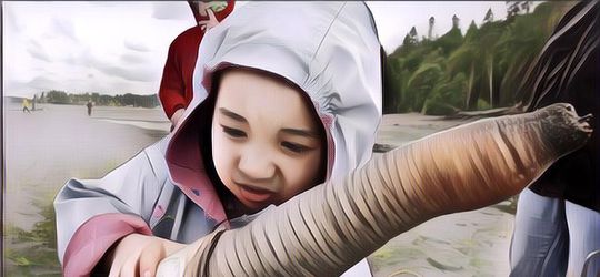 Fakta yang Jarang Orang Tahu: No 5 Sukar Dipercaya Tapi Emang Gitu Adanya