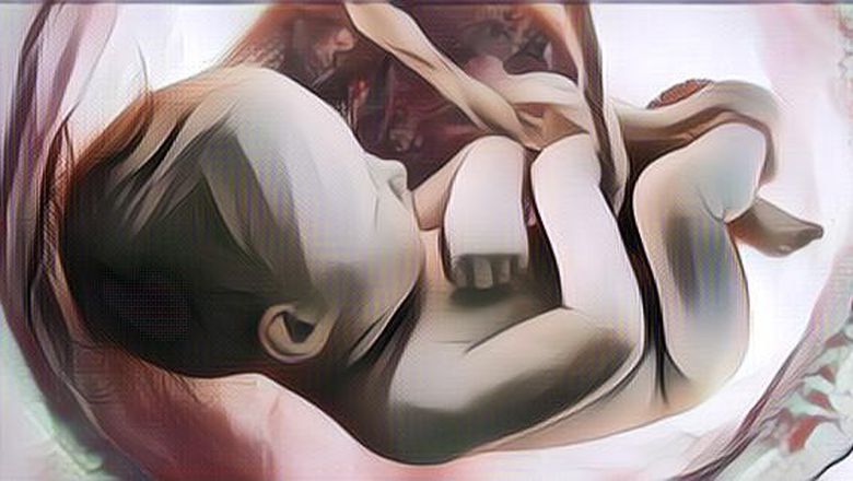 Ngeri Banget! Mikroplastik Ditemukan di Plasenta Bayi dalam Kandungan Ini