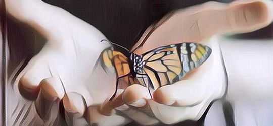 Butterfly Project, Upaya untuk Perangi Maraknya Self-harming di Kalangan Remaja