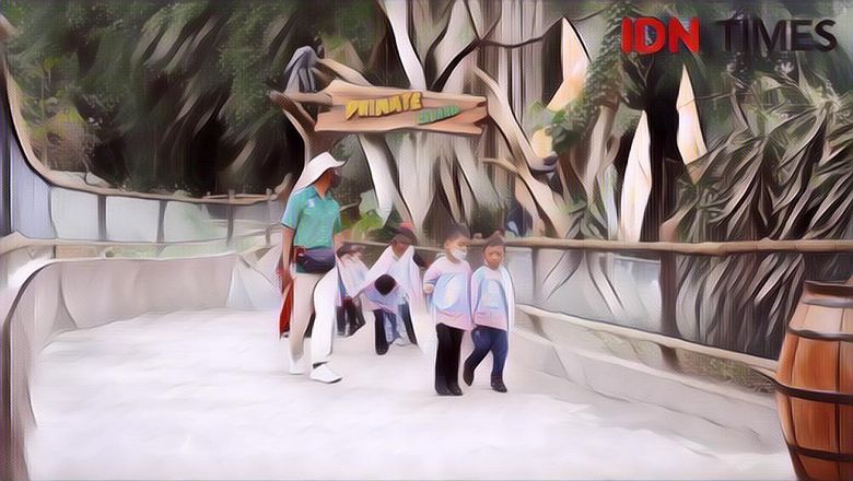 Sudah Dibuka Kembali, Ini Lokasi, Jam Operasional, dan Harga Tiket Solo Safari Zoo