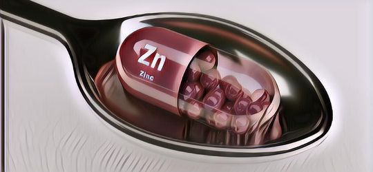 Seberapa Penting Asupan Zinc untuk Tubuh, Yuk Intip Infonya!