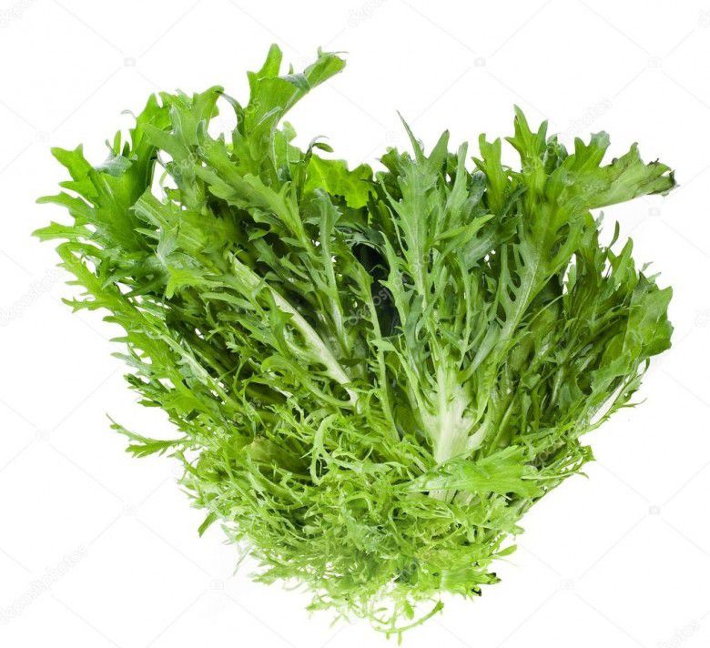 1. Rucola