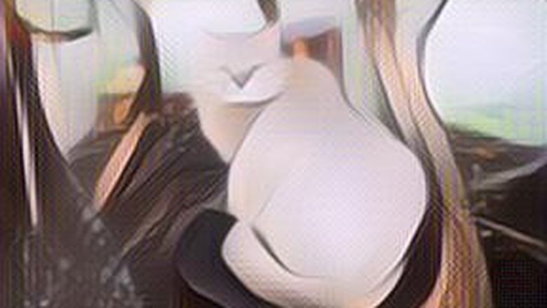 4 Famili Kucing yang Nggak Banyak Orang Tau