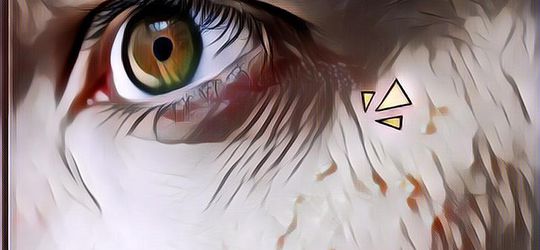 Tips Menghilangkan Bruntusan dengan Bahan Alami