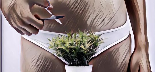 Jangan Dicukur Sampai Habis! Berikut Ini Fungsi Rambut Kemaluan yang Sesungguhnya