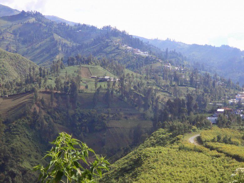 1. Desa Argosari, Lumajang