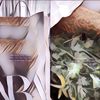 Bikin Ngakak! Wanita Ini Temui Goodie Bag Brand Fashion Terkenal, Ternyata Isinya Daun Ketumbar