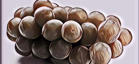 5 Fakta Anggur Muscat, Buah Kuno dengan Nutrisi dan Kelezatan Klasik