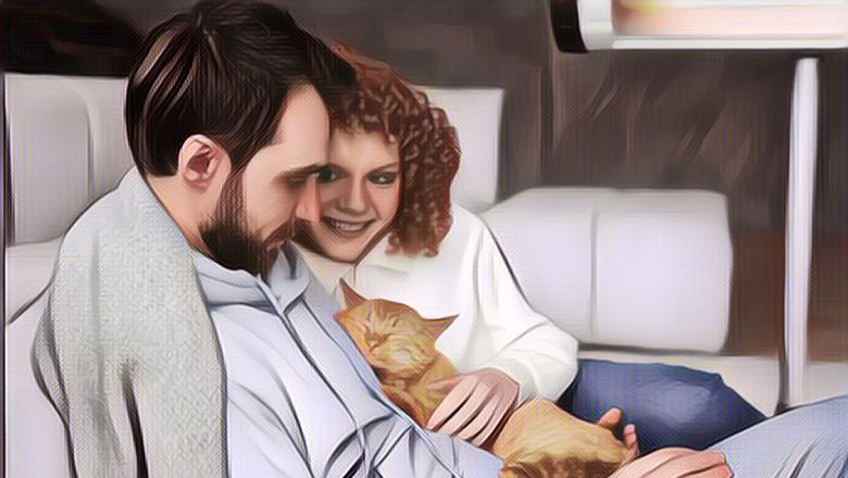 Gak Disangka, Seorang Wanita Gugat Suaminya Gara-Gara Lebih Sayang ke Kucingnya