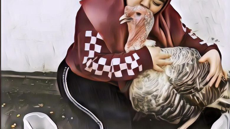 Viral Kekeyi Kecup Kalkun, Netizen: Selamatkan Kalkun Itu!