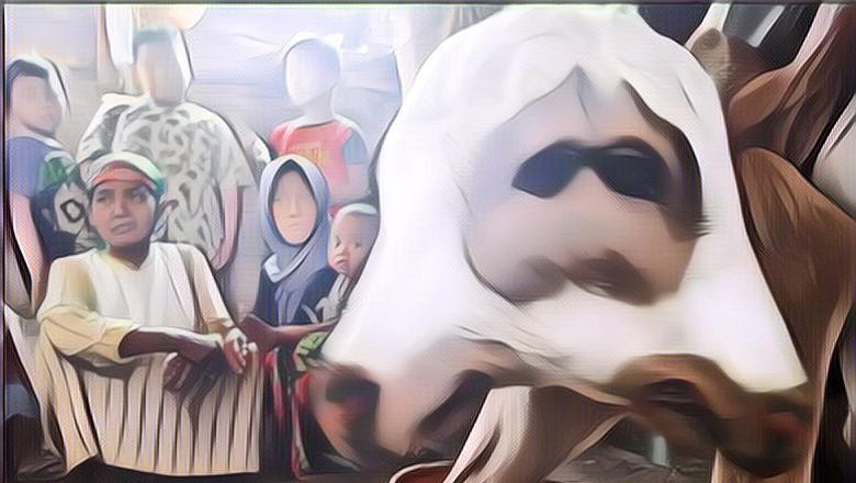 Anak Sapi Berkepala Dua Bikin Heboh Warga Probolinggo: Kok Bisa Ya?