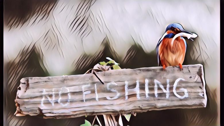 Hewan-Hewan yang Menjadi Inspirasi untuk Menciptakan 7 Teknologi Ini